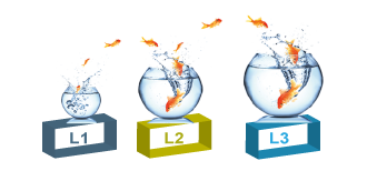 Le Développement du Capital Huamin est nécessaire pour soutenir toutes vos démarches de progrès (Réorganisation, Certification ISO, Lean, Lean Six Sigma, Total Productive Maintenance, ….).